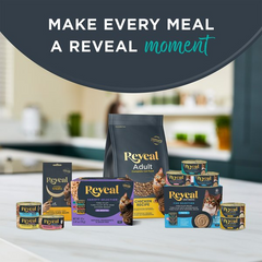 Reveal Entree Fish Pate Selection Grain-Free Canned Wet Cat Food Reveal Entree Fish Pate Selection Grain-Free Canned Wet Cat Food