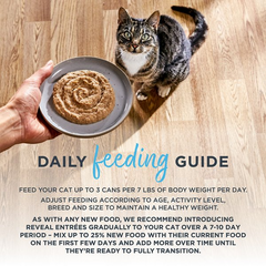 Reveal Entree Fish Pate Selection Grain-Free Canned Wet Cat Food Reveal Entree Fish Pate Selection Grain-Free Canned Wet Cat Food