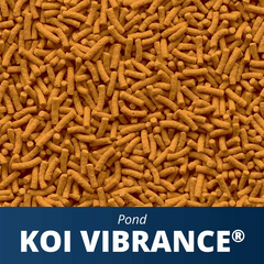 Tetra Pond Koi Vibrance Color Enhancing Sticks Koi & Goldfish Food Tetra Pond Koi Vibrance Color Enhancing Sticks Koi & Goldfish Food