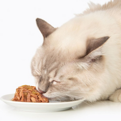 Catit Dinner Ocean Fish with Tuna & Carrot Cat Wet Food Catit Dinner Ocean Fish with Tuna & Carrot Cat Wet Food