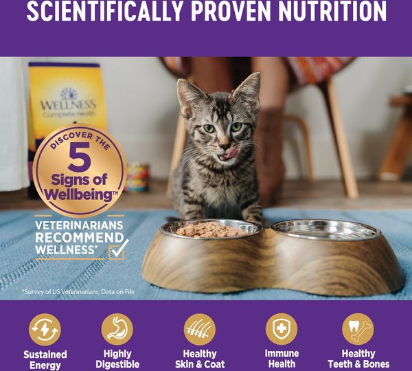 Fresh Pet Food for Cats: Choosing the Best for Your Feline Friend