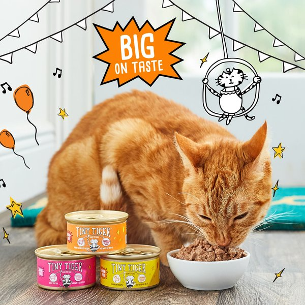What’s in Your Cat’s Bowl? A Complete Guide to Choosing the Best Cat Food
