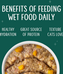 Weruva Senior Grain-Free Chicken Formula in Hydrating Puree Wet Cat Food