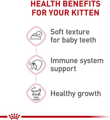 Royal Canin Feline Health Nutrition Kitten Thin Slices in Gravy Wet Cat Food, 3-oz can, case of 12