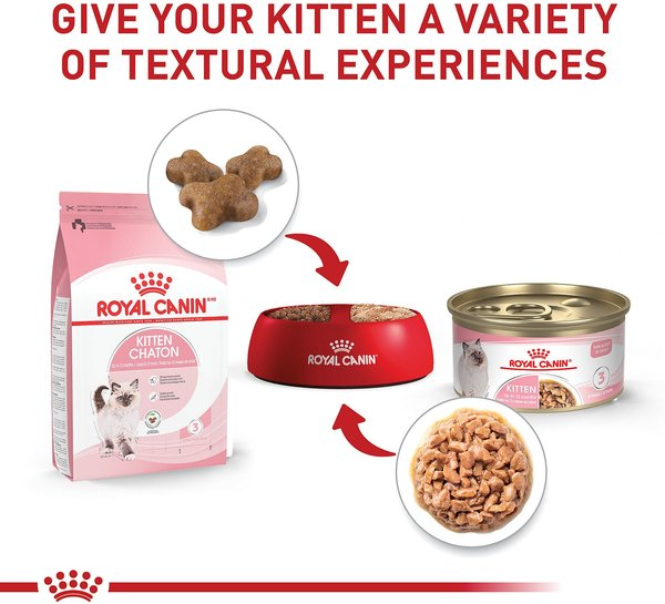 Royal Canin Feline Health Nutrition Kitten Thin Slices in Gravy Wet Cat Food, 3-oz can, case of 12