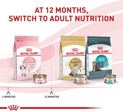 Royal Canin Feline Health Nutrition Kitten Thin Slices in Gravy Wet Cat Food, 3-oz can, case of 12