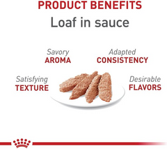 Royal Canin Feline Health Nutrition Adult Instinctive Loaf in Sauce Wet Cat Food, 3-oz, case of 24