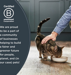 Reveal Fish & Chicken Variety Selection in Broth Grain-Free Flaked Wet Cat Food, 2.47-oz can, case of 20