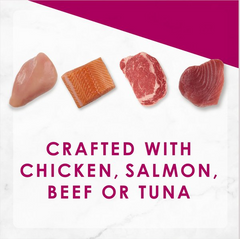 Fancy Feast Savory Centers Variety Pack Canned Cat Food