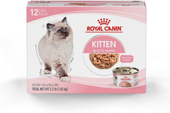 Royal Canin Feline Health Nutrition Kitten Thin Slices in Gravy Wet Cat Food, 3-oz can, case of 12