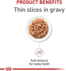 Royal Canin Feline Health Nutrition Kitten Thin Slices in Gravy Wet Cat Food, 3-oz can, case of 12