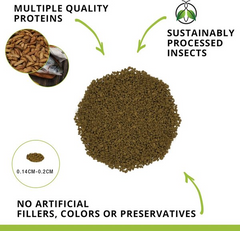 Fluval Fl Bugbites Bottfeeder Formula Small & Medium Granules Fish Food