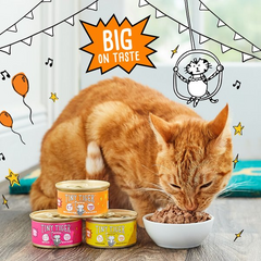 Tiny Tiger Grain-Free Chunks in EXTRA Gravy Beef & Poultry Recipes Variety Pack Canned Cat Food